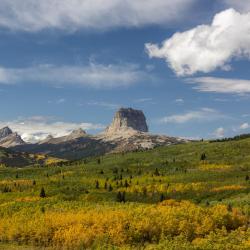 Texas Accommodation South Korea